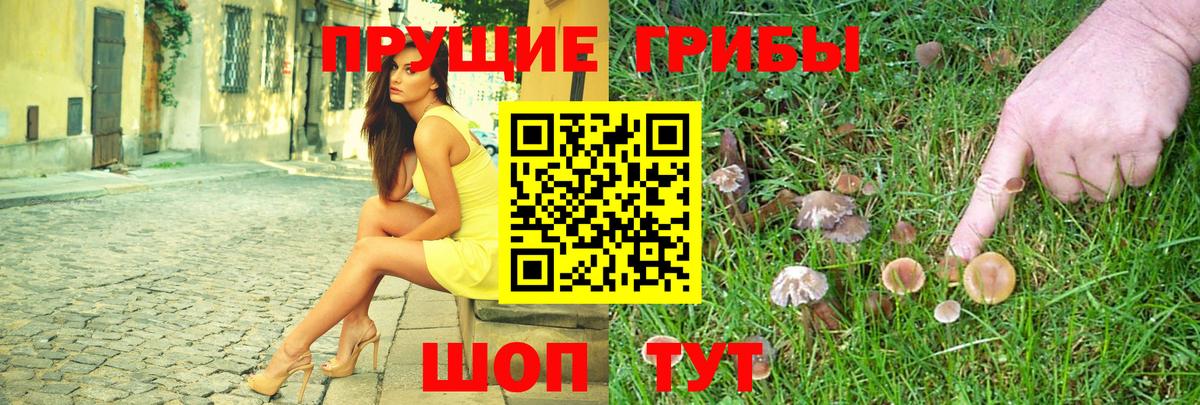 Псилоцибиновые грибы Psilocybe Волжск