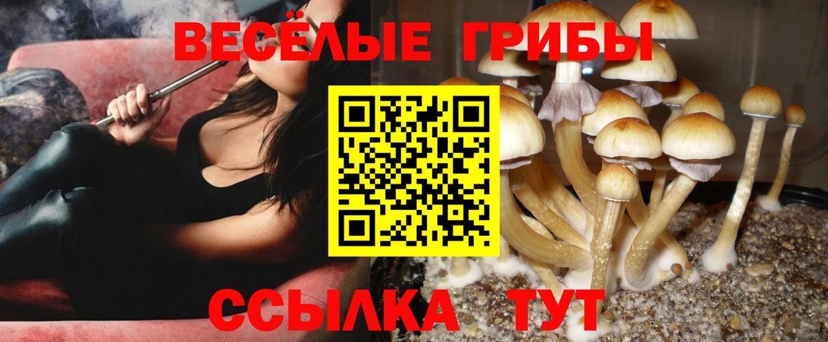 Волжск  Псилоцибиновые грибы Magic Shrooms  Вход с VPN 